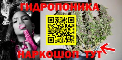 хмурый Кингисепп